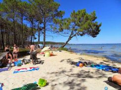 cliquez ici pour agrandir les photos de cette location à mimizan