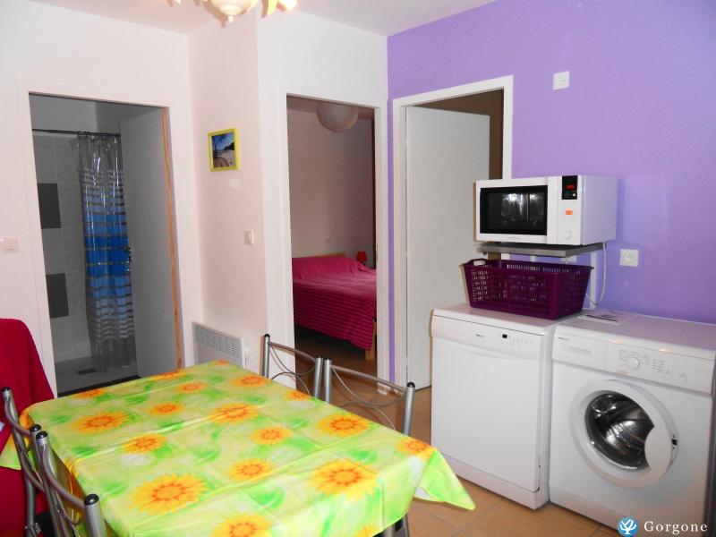 Photo n°5 de :Location rcente proche Mimizan 4 personnes 220 /sem