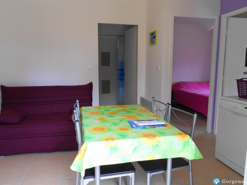Photo n°4 de :Location rcente proche Mimizan 4 personnes 220 /sem