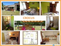 cliquez ici pour agrandir les photos de cette location à mimizan