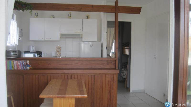 Photo n°6 de :charmant studio cabine  louer Mimizan plage