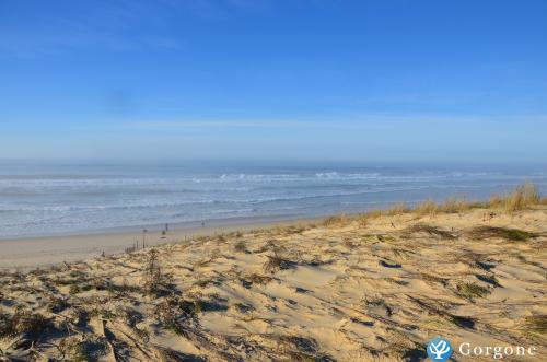 Photo n°4 de :Chalet BIAS