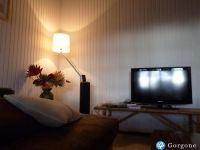 cliquez ici pour agrandir les photos de cette location à mimizan