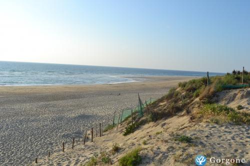 Photo n°7 de :