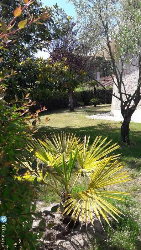 Le jardin arbor