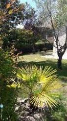 Le jardin arboré cliquez ici pour agrandir les photos de cette location à mimizan