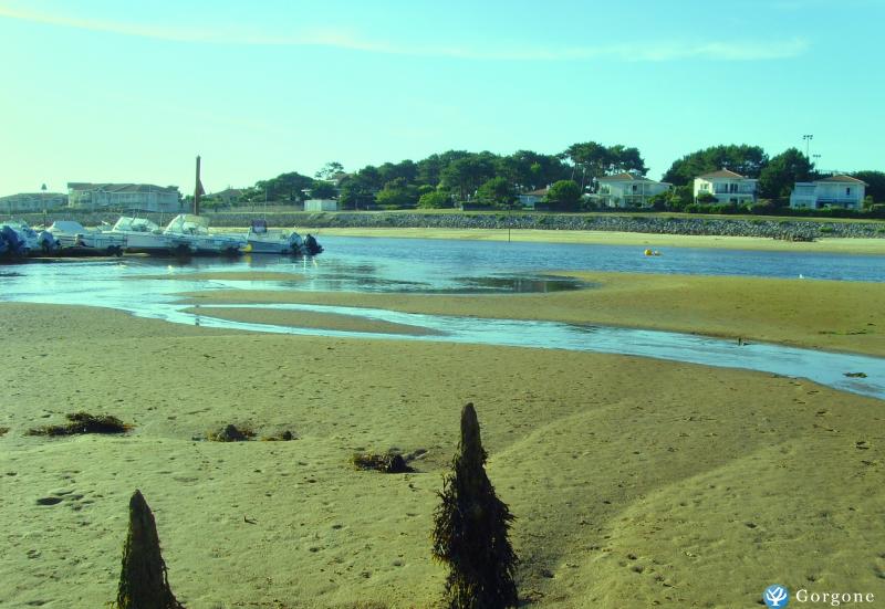 Photo n°1 de :Loue apt 4/5 pers. Mimizan plage 500m Ocean  , au coeur de la station